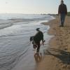 Scout (Ben) 4 months on beach with Jim