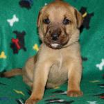 Wilma 3 weeks